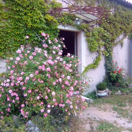 Bed and Breakfast Le Domaine De Belle LʼIsle-sur-la-Sorgue Exterior foto