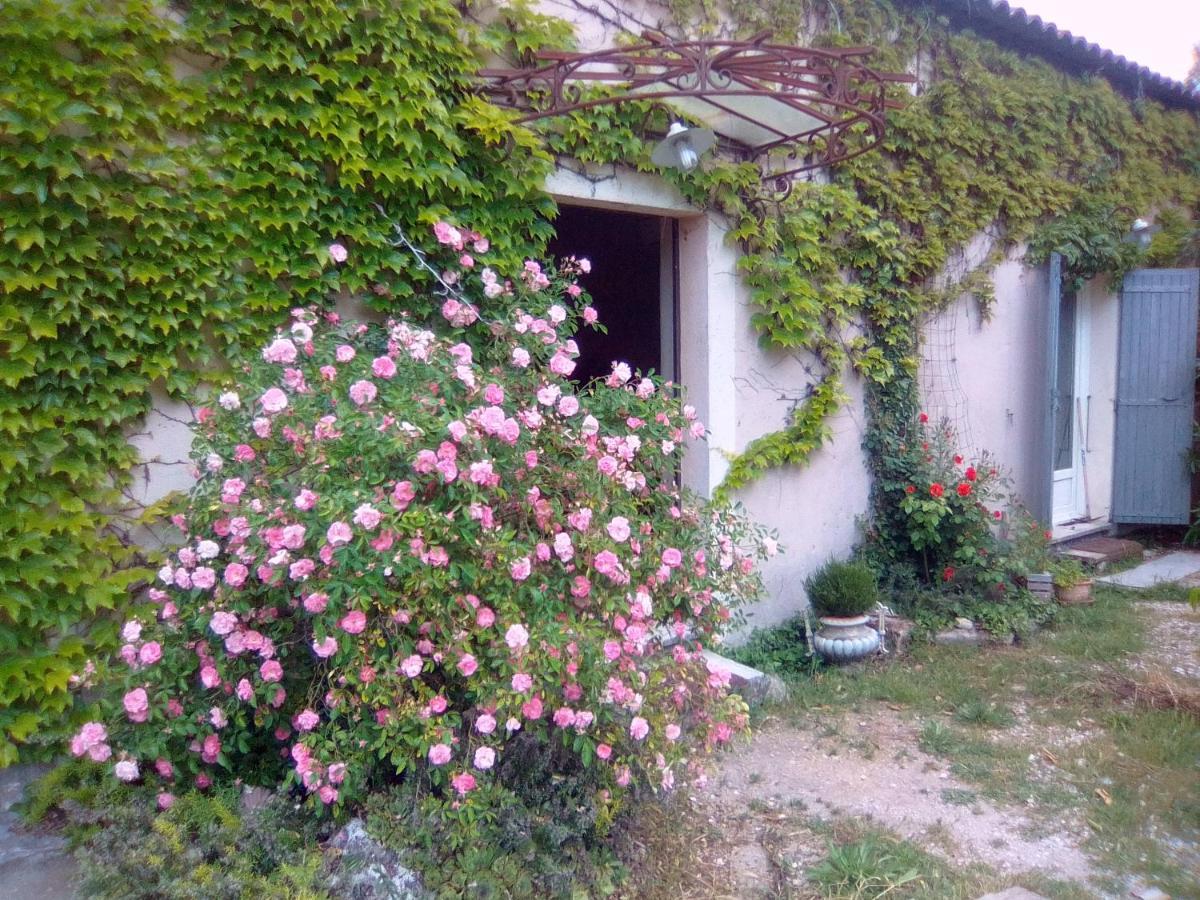 Bed and Breakfast Le Domaine De Belle LʼIsle-sur-la-Sorgue Exterior foto