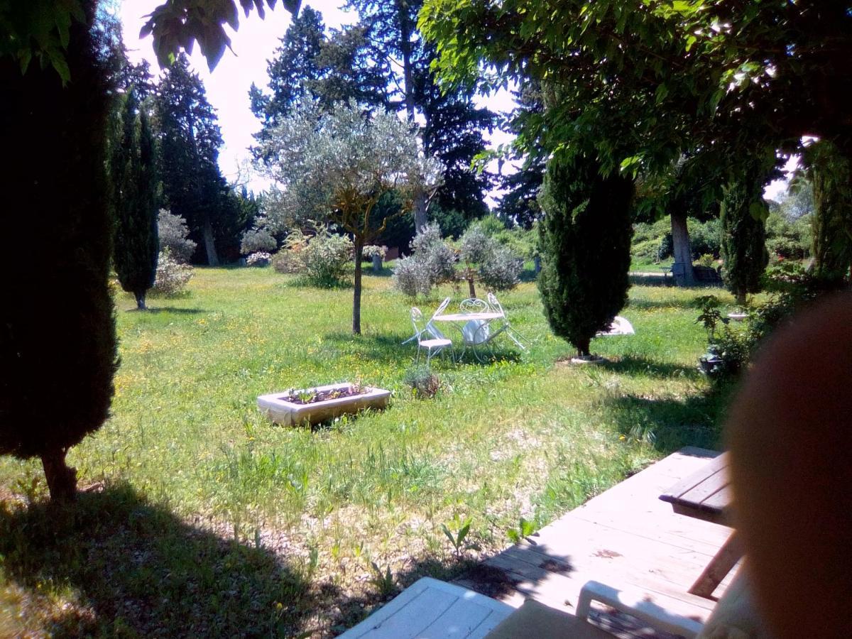 Bed and Breakfast Le Domaine De Belle LʼIsle-sur-la-Sorgue Exterior foto